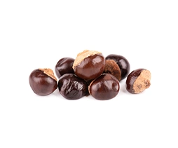 Guarana-Seed_Extract