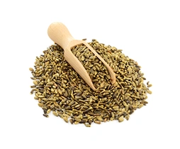 Milk Thistle Seed Extract