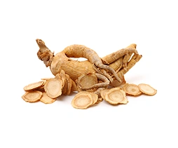 Panax_Ginseng
