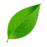 why-love-float-leaf-img-left