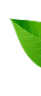 leaf-poster 7
